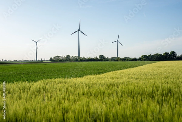 Obraz Windräder im grünen Feld