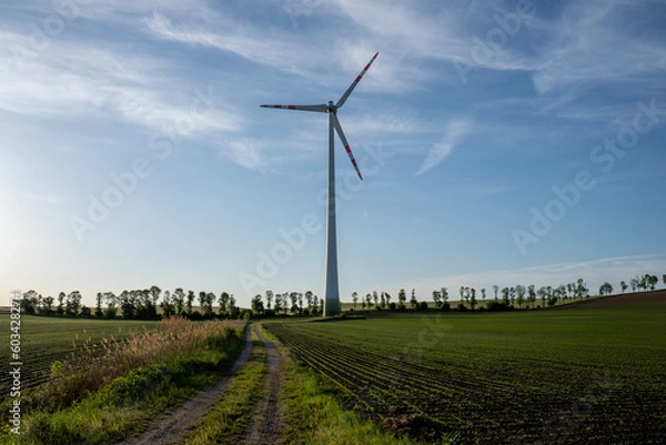 Obraz Windrad am Feld