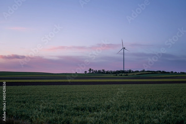 Obraz Windrad in der blauen Stunde