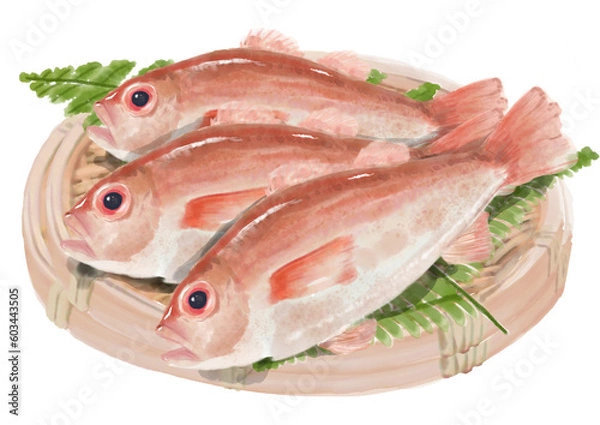 Obraz 水彩のノドグロ01_2