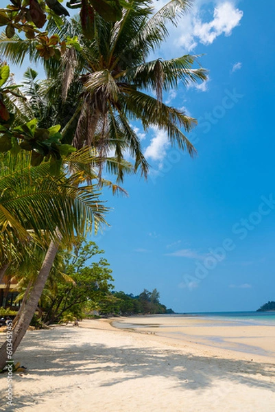 Fototapeta Beautiful tropical beach with white sand, palm trees, turquoise ocean against blue sky on sunny summer day..Wide view of tranquil tropical island beach, Thailand..Tropical beach with coconut palm
