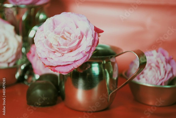 Obraz pink rose in a vase