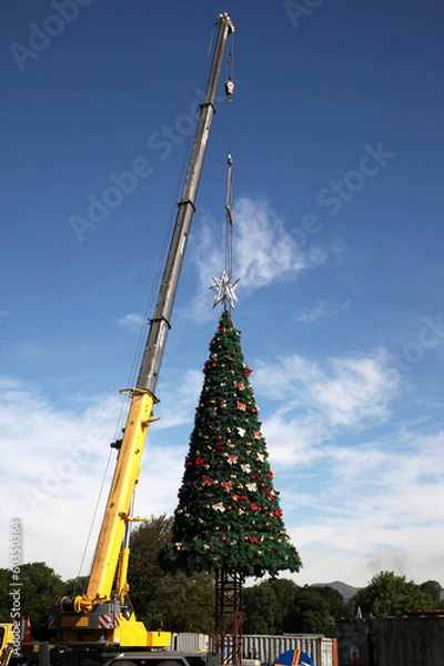 Obraz "Instant Christmas!"