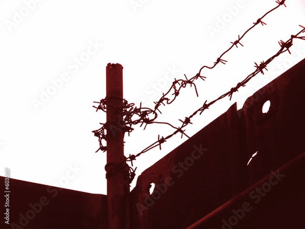 Obraz barbed wire
