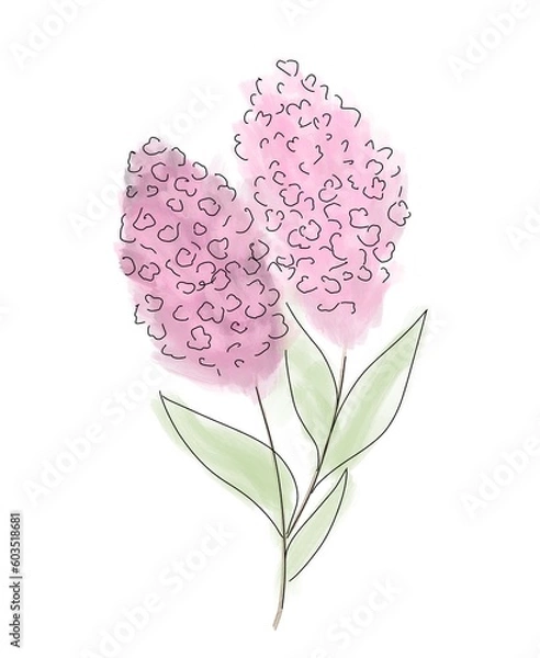 Fototapeta Bez Lilac Lilak watercolor