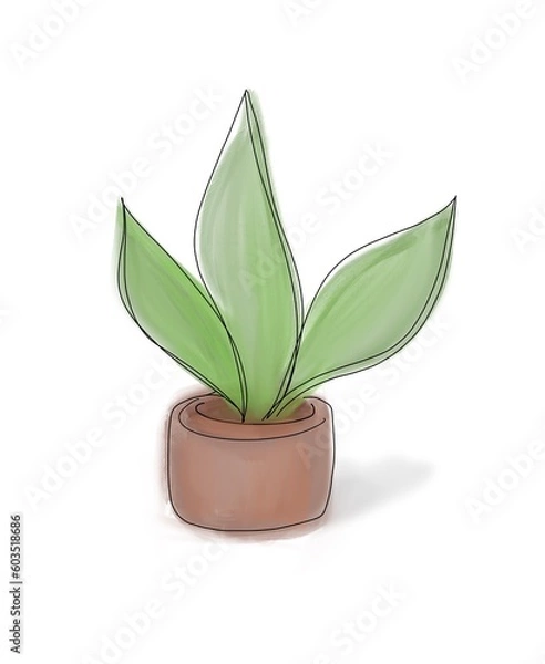 Fototapeta Roślina w doniczce Plant