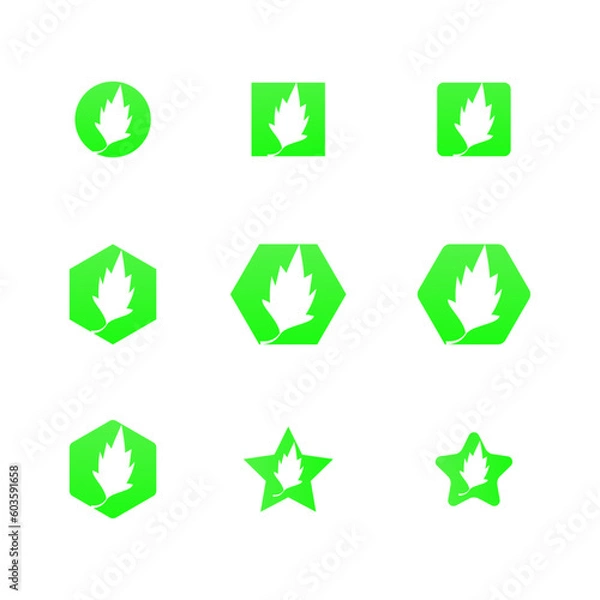 Fototapeta Vector leaf illustration 