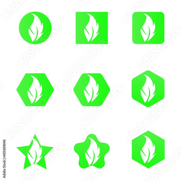 Fototapeta set of icons/Vector leaf illustration 6