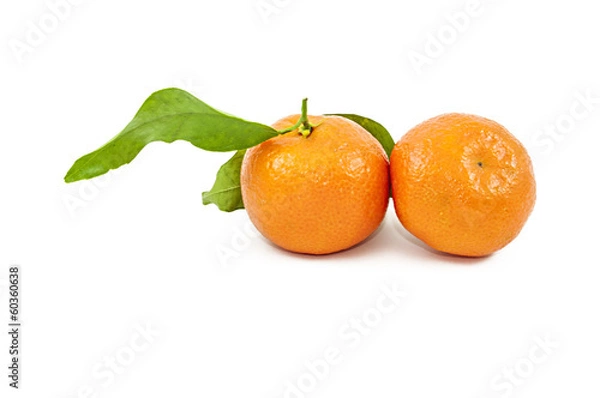 Obraz Coppia di Mandarini