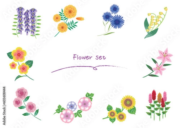 Fototapeta 手描きのお花ベクターイラストのセット