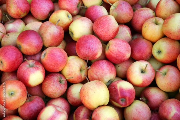 Fototapeta Äpfel