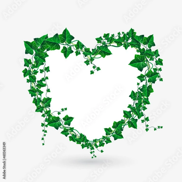 Obraz Vector Ivy branch heart illustration