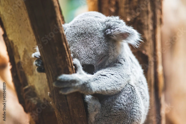 Obraz Celle, 19.05.2023
