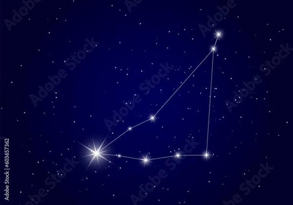 Obraz Capricorn constellation background 