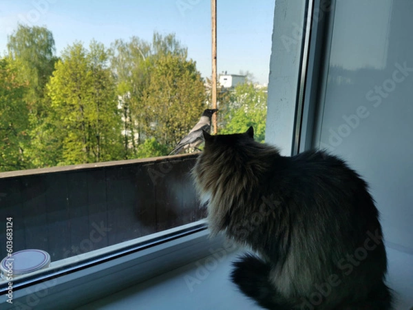 Obraz home hunting 002