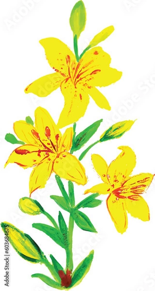 Obraz  Hemerocallis