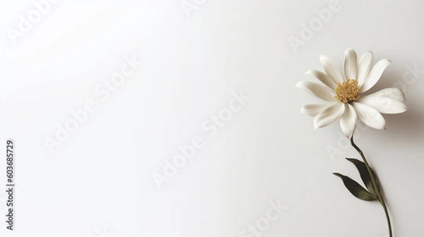 Obraz Minimalistic white background with white flower