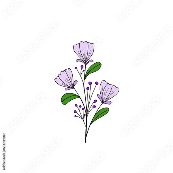 Obraz flower isolated on white background