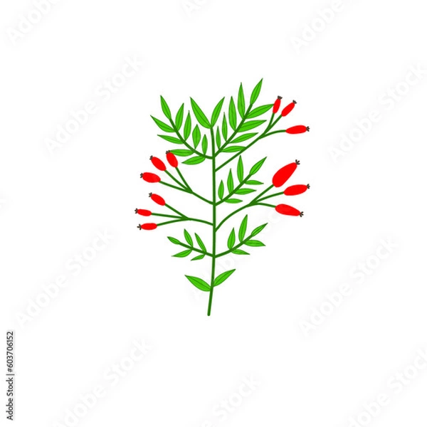 Obraz red and green leaves