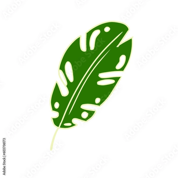 Obraz green leaf isolated on white