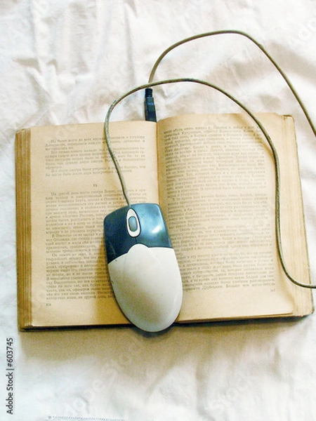 Obraz mouse book