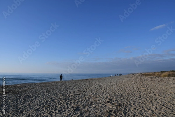 Fototapeta Mare d'inverno