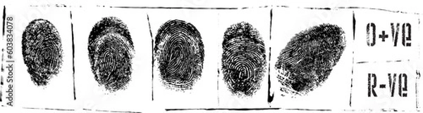 Fototapeta Vector Image of a Prison Sheet with fingerprints and blood test