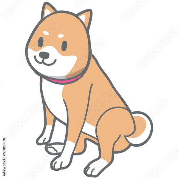 Obraz お座りする柴犬のベクターイラスト