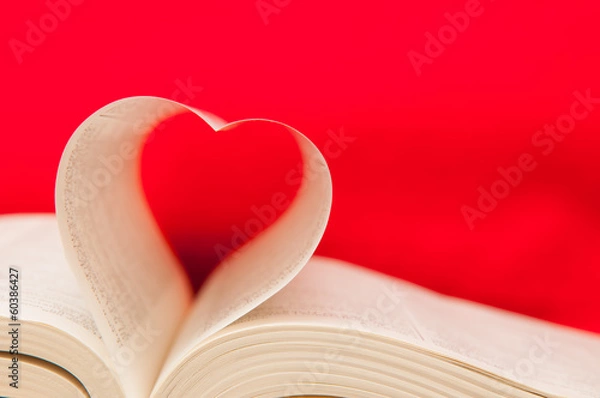 Obraz Un libro pieno d'amore