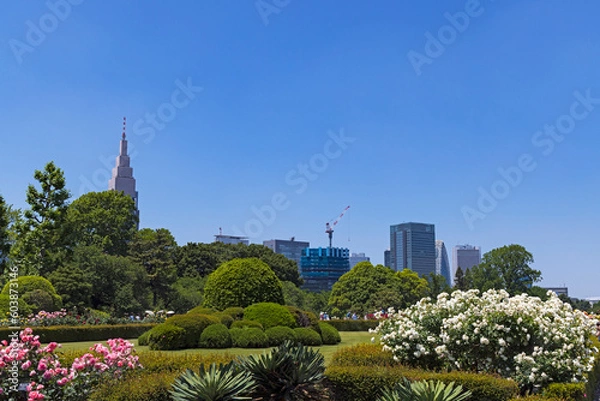 Fototapeta 新宿御苑