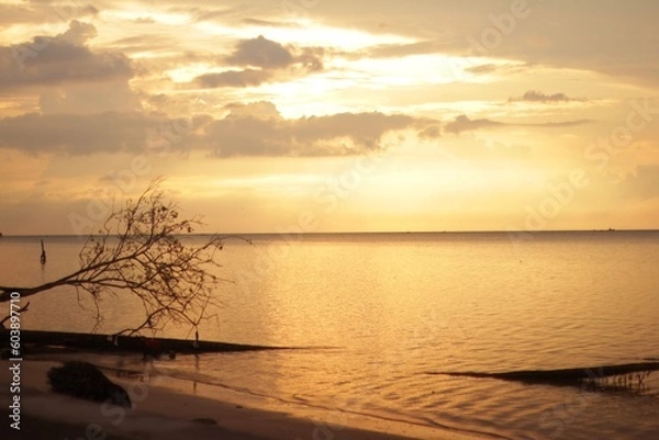 Obraz View of the beach in the morning