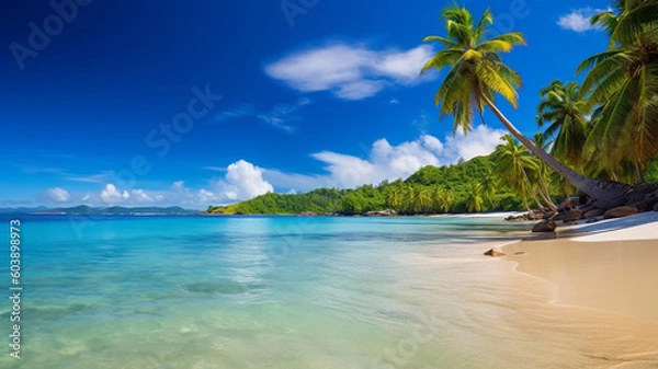 Fototapeta beach with palm trees