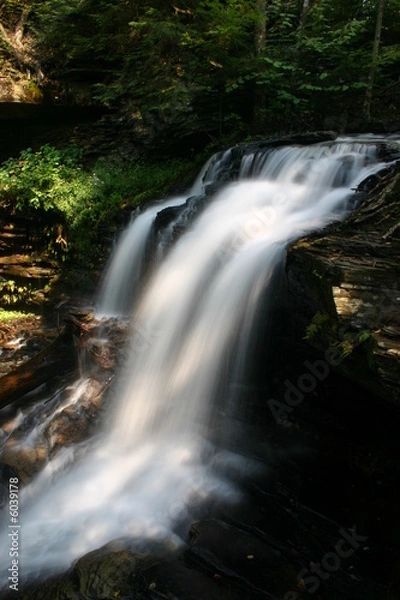 Obraz Ricketts Glen State Park