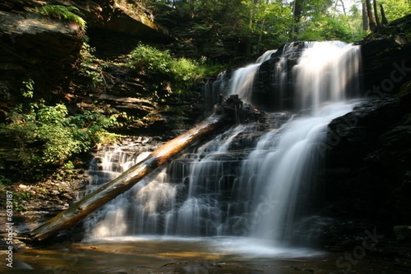 Obraz Ricketts Glen State Park