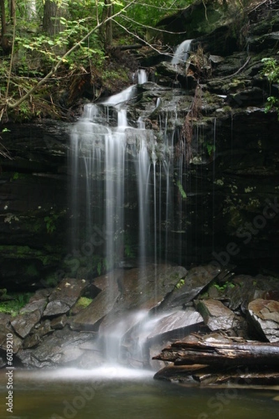 Obraz Ricketts Glen State Park