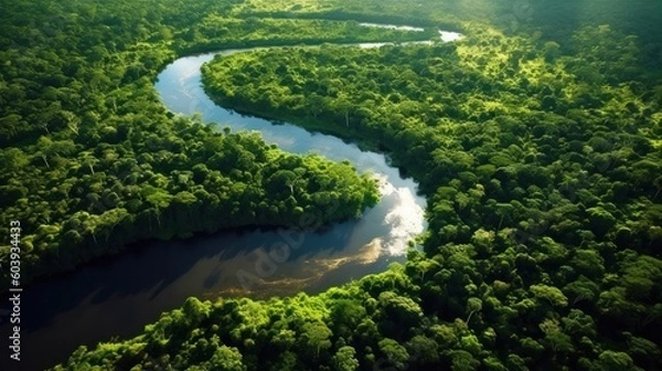 Obraz Aerial view of the Amazon Rainforest. Generative AI.