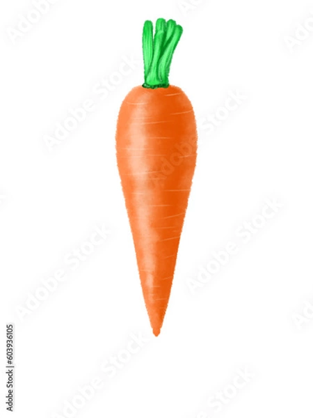 Fototapeta carrot isolated on white background