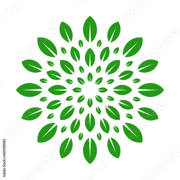 Obraz Circular leaves pattern geometric green color isolated on white background. Leaves circular vector