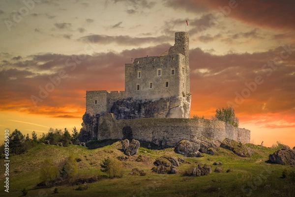 Fototapeta Ruins of a medieval castle in the village of Mirow, Poland.