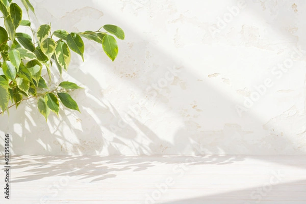 Fototapeta Wooden table background with empty space and ficus leaves shadows