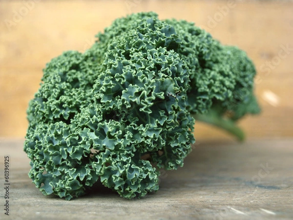 Obraz curly kale leave
