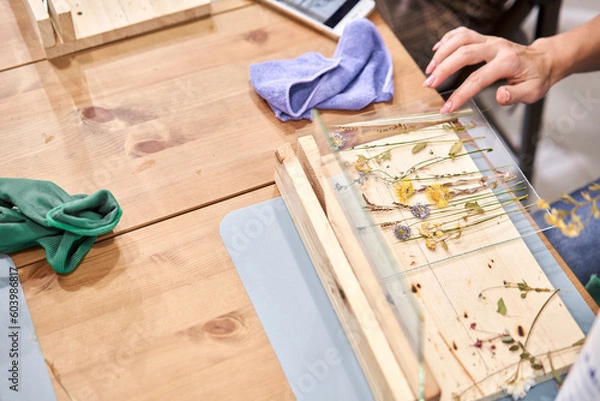 Fototapeta Master class on creating frame with Herbarium in tiffany technique in stained glass. A woman lays out a composition. Herbarium of dried different plants and flowers placed under a glass