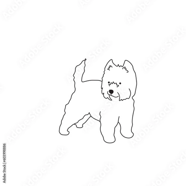 Fototapeta One line drawing. Dog Vector illustration. West Highland White Terrier breed