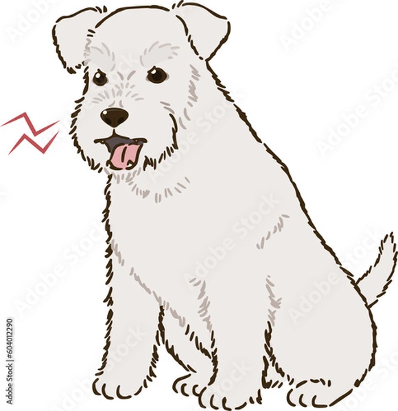 Obraz 怒るシュナウザー（白）