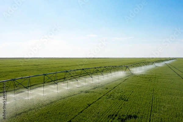 Fototapeta Center pivot crop irrigation or irrigation system for farm management. Watering system in the field. An irrigation pivot watering a field