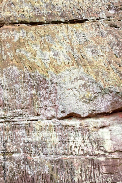 Fototapeta Lichen growing on the face of a sandstone rock wall. Lichens are a keystone species in many ecosystems.