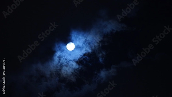 Obraz The moon night view with the round and white moon in the sky