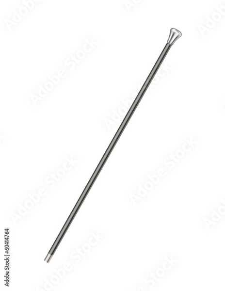 Fototapeta Elegant walking stick