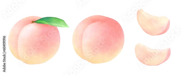 Obraz かわいいモモと葉の水彩イラストのセット_新鮮なフルーツ