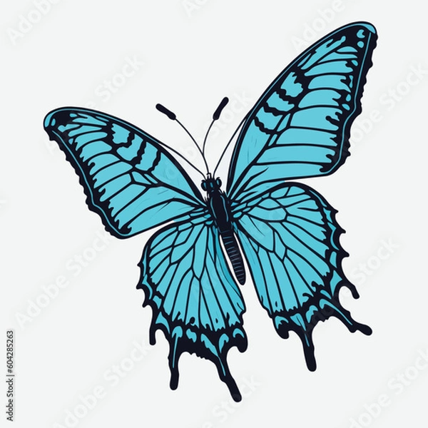 Fototapeta butterfly isolated on white. vector
